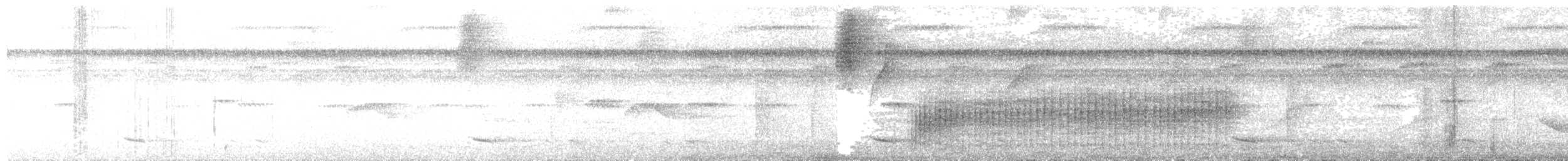 Troglodyte à calotte noire - ML640255205