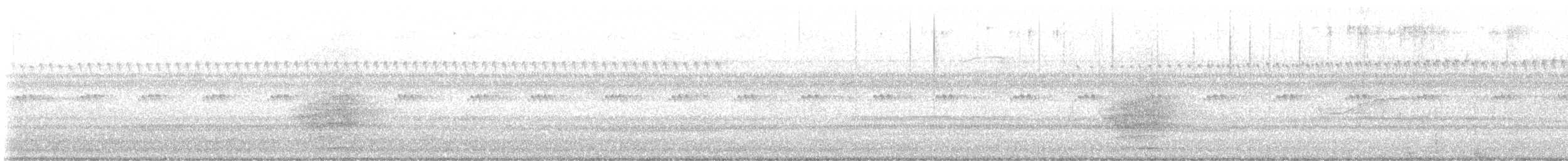 amerikahubro - ML640256184