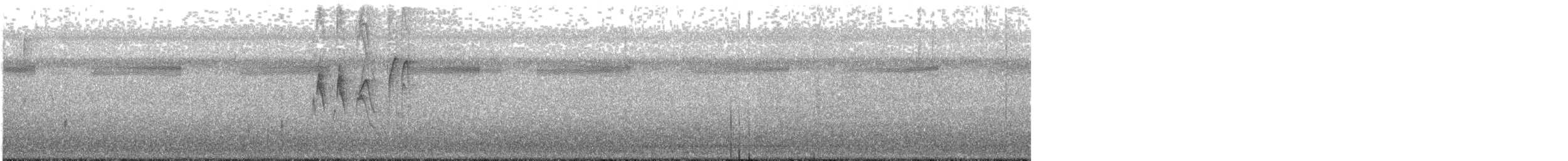 Japanese Wagtail - ML640256367