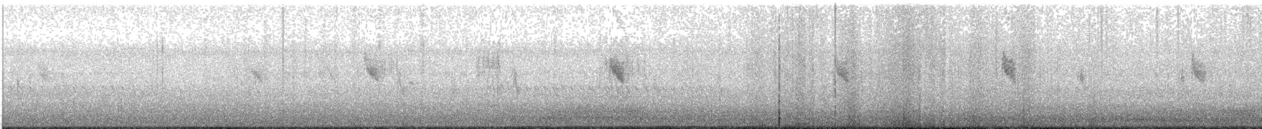 Japanese Wagtail - ML640256368