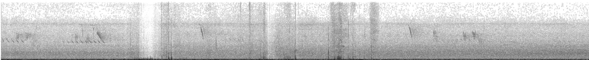 Japanese Wagtail - ML640256369