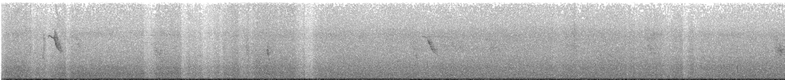 Japanese Wagtail - ML640256434