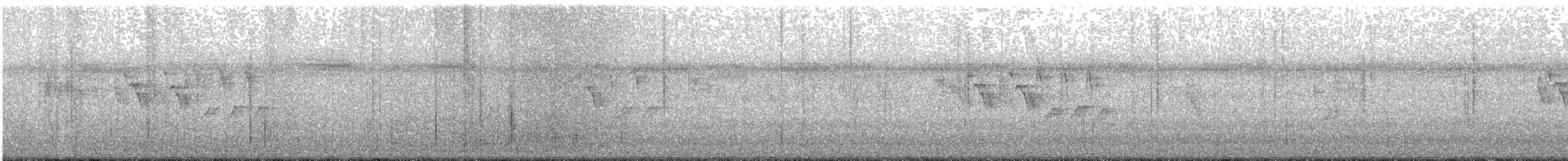Japanese Wagtail - ML640256435