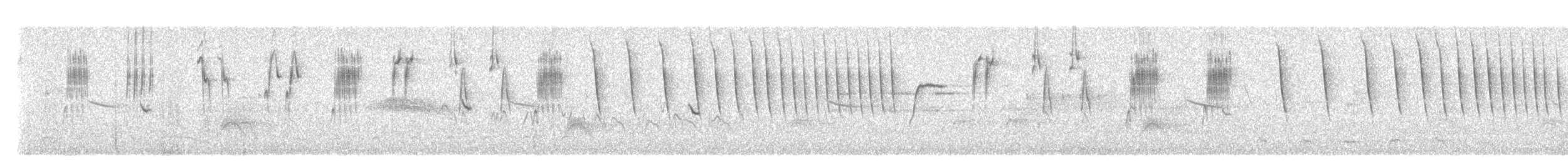 Bruant de Botteri - ML640257296