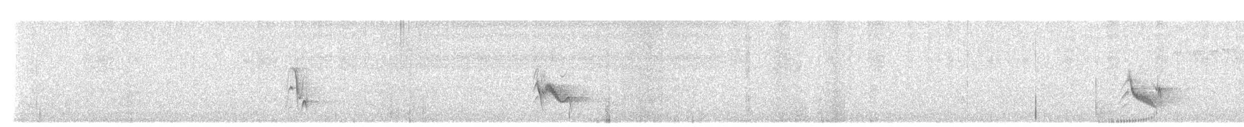 Plumbeous Vireo - ML640257346