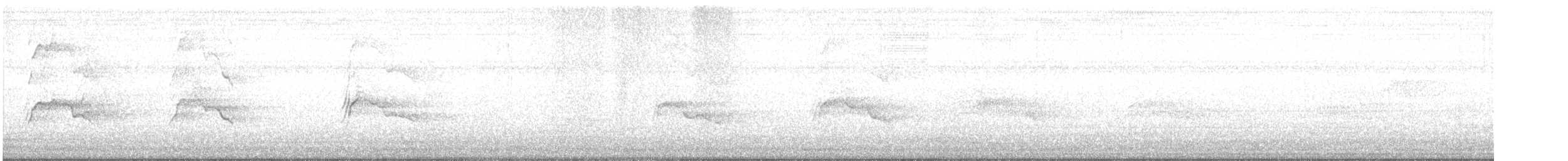 Épervier de Cooper - ML640258214