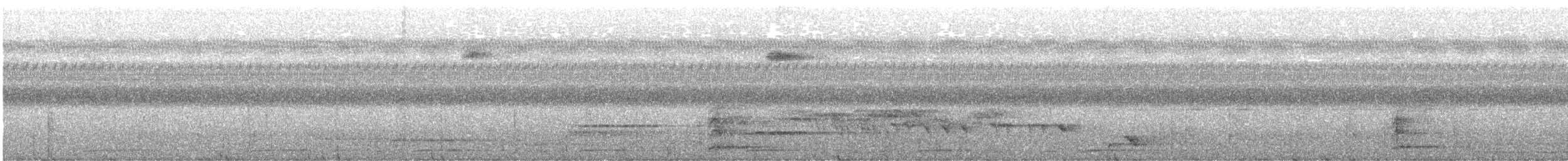 Halmahera Paradise-crow - ML640258783