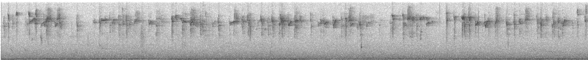 Striated Thornbill - ML640260346