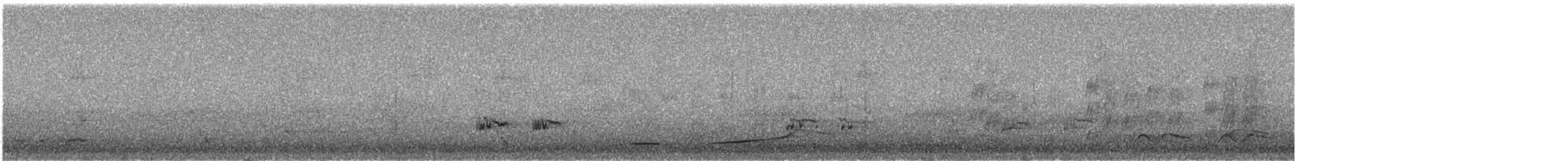 Gray Currawong - ML640260421