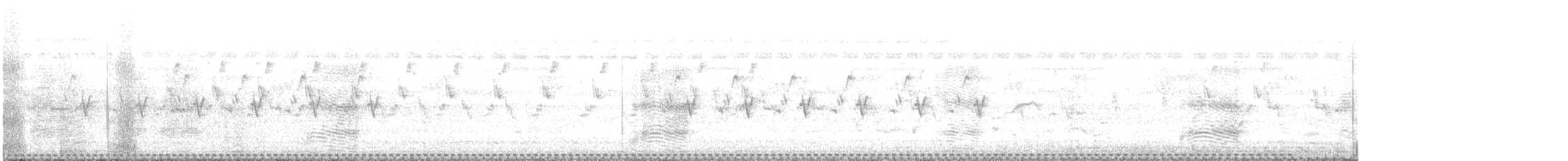 Barred Buttonquail - ML640260555
