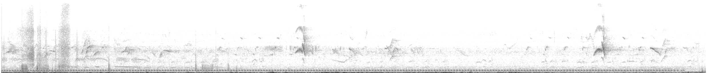 Barred Buttonquail - ML640260556