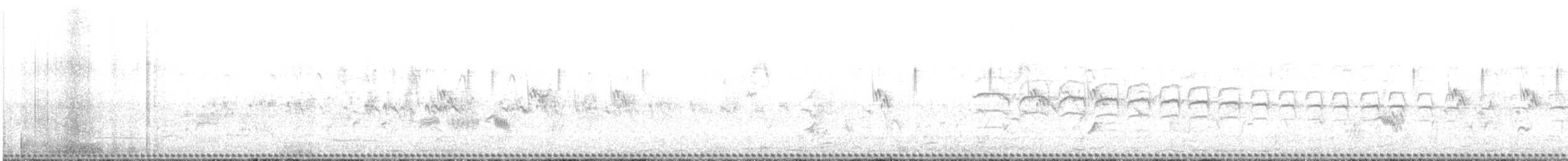 Barred Buttonquail - ML640260560