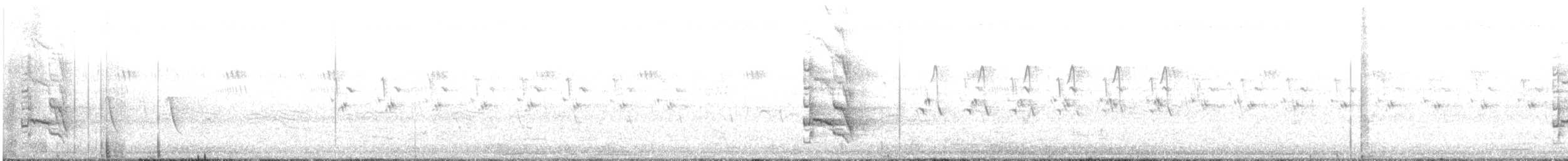 オオホンセイインコ - ML640260579