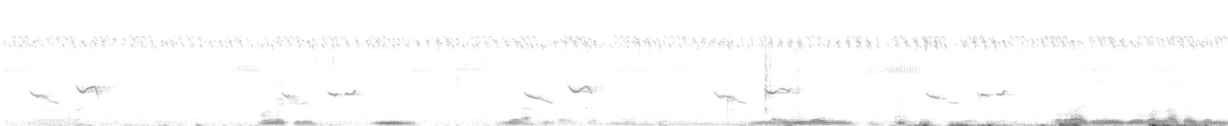 White-browed Scrub-Robin - ML640261666