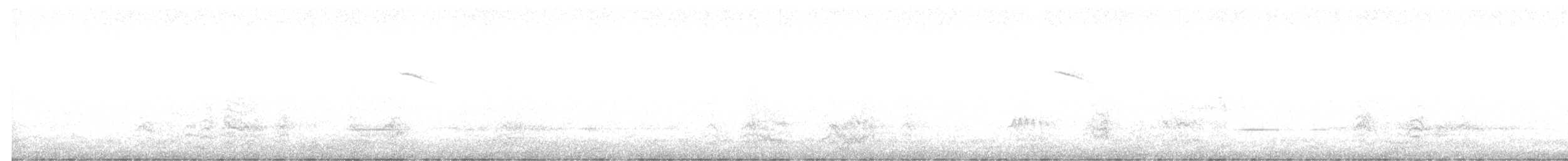 Pavonine Cuckoo - ML640262395