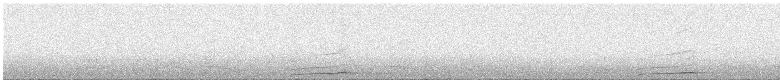 sýček obecný - ML640262748