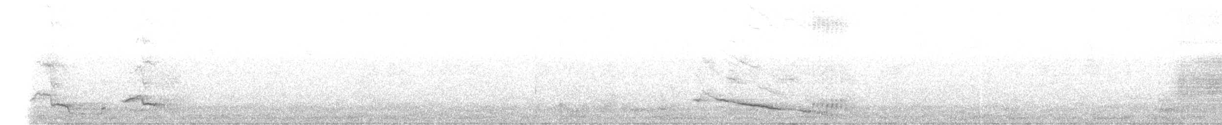 Satin Bowerbird - ML640265079