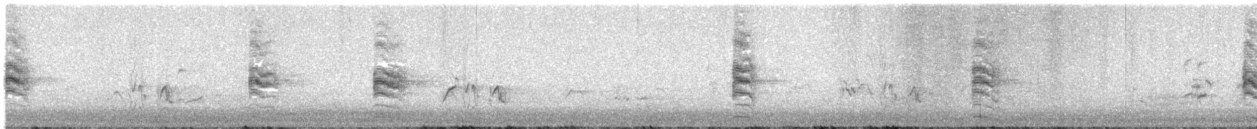 Lewin's Rail - ML640265227