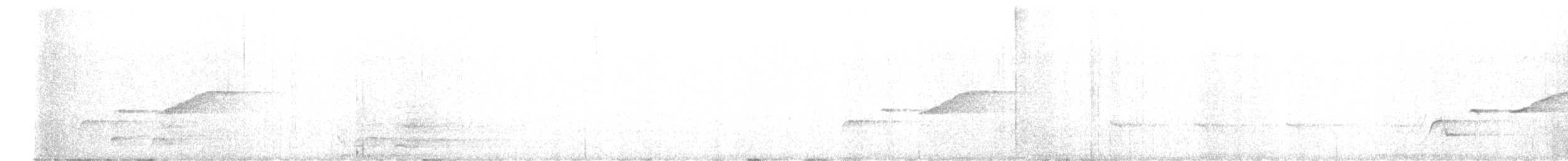 sørkrattskvett - ML640265758