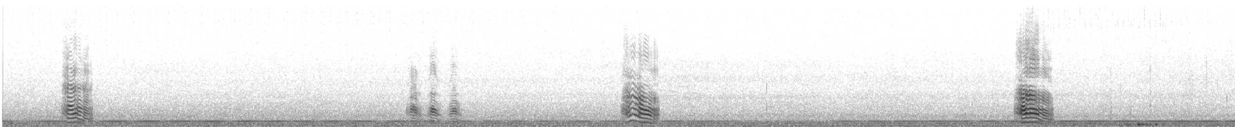 שחף ימי - ML640265883