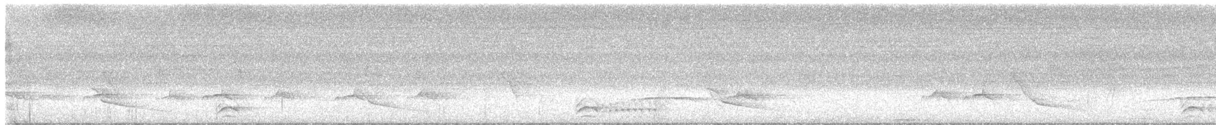 Black-crowned Antshrike - ML640266515