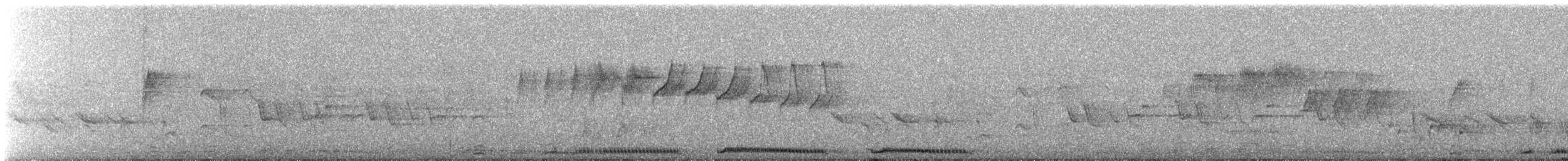 Spotted Dove - ML640267018