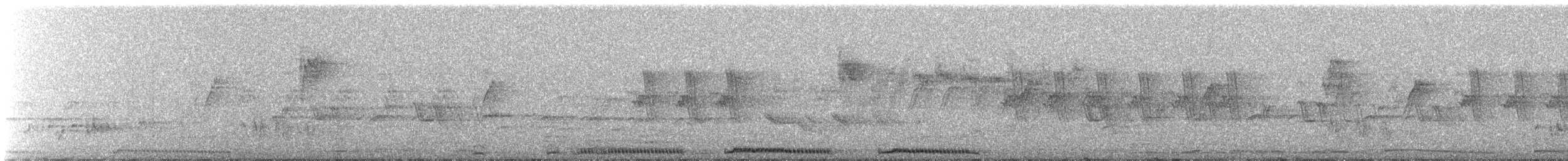 Spotted Dove - ML640267082