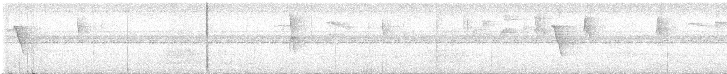Wing-barred Piprites - ML640267396