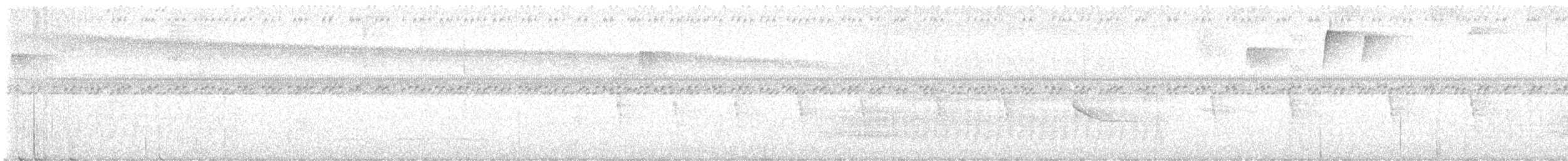 Wing-barred Piprites - ML640267397