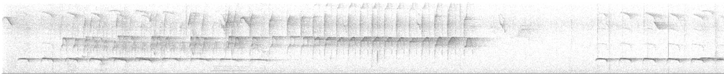 White-shouldered Fire-eye - ML640267517