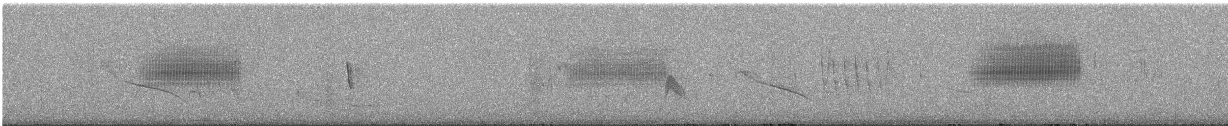 Band-tailed Seedeater - ML640267905