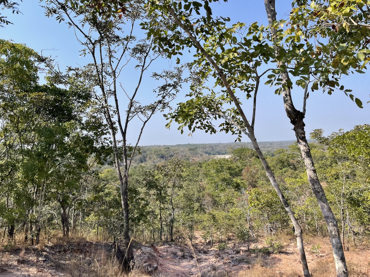 null - ML640268627