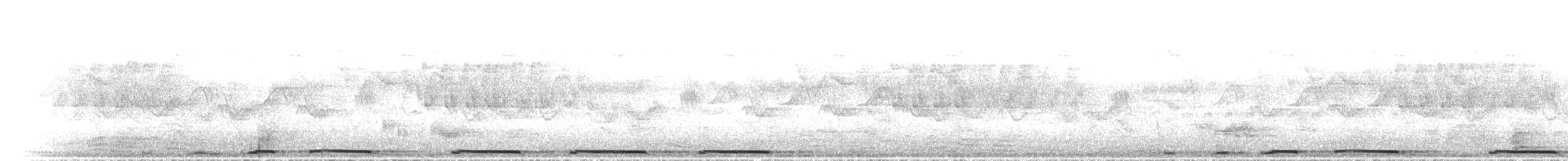 Spotted Dove - ML640268788