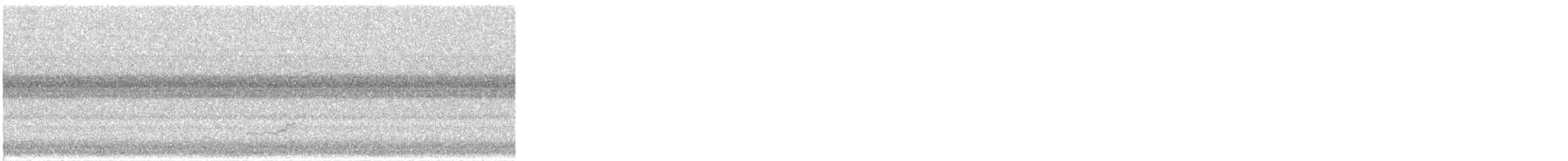 chřástal karolínský - ML640269128