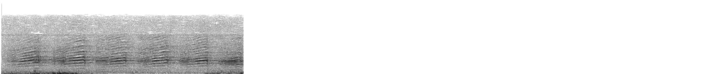 Black-and-white-casqued Hornbill - ML640269366