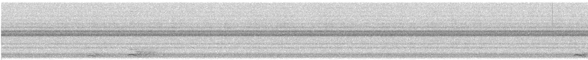 výreček americký - ML640269539