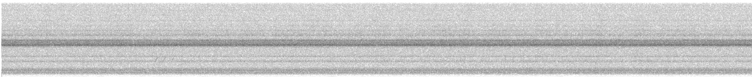 Prärieläufer - ML640269548