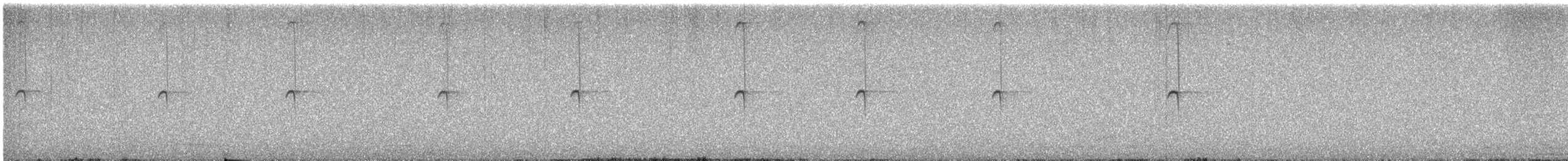 Colibri géant - ML640270769