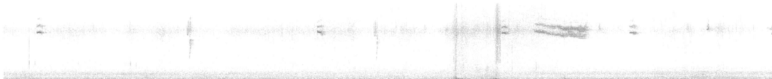flekktovi (maculatus gr.) - ML640273488