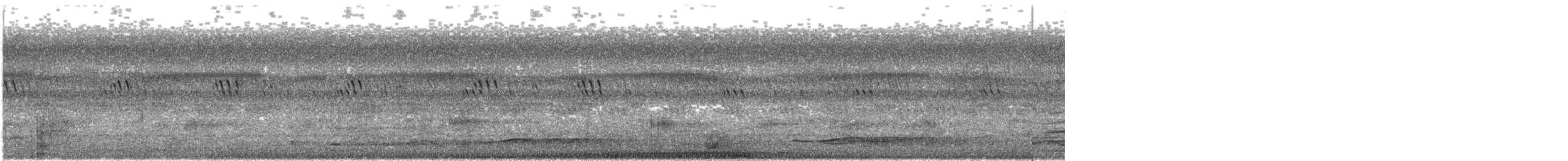 Coq de Sonnerat - ML640274825