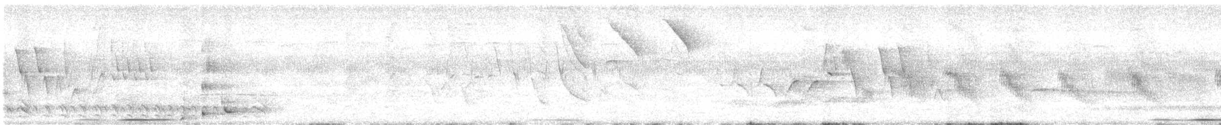 セアカオオツリスドリ - ML640277367