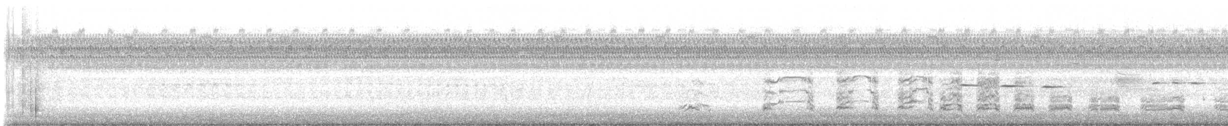 Goéland à bec cerclé - ML640277588