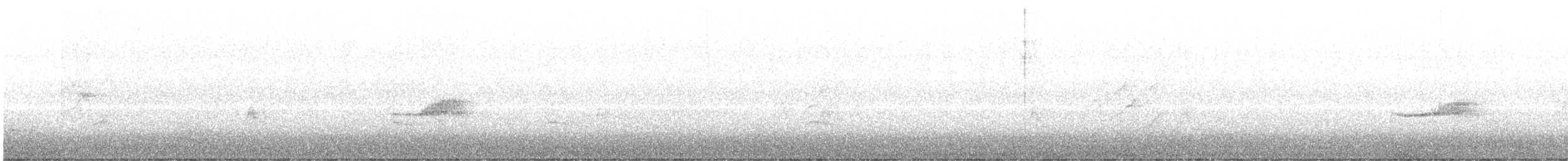 Western Wood-Pewee - ML640278242