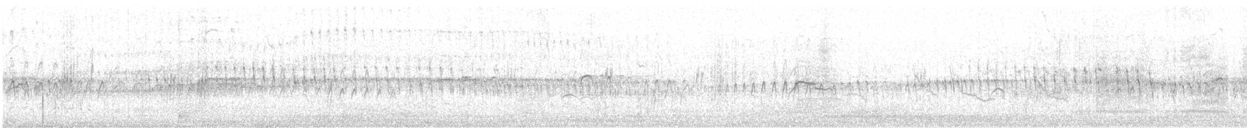 Alpine Swift - ML640284031
