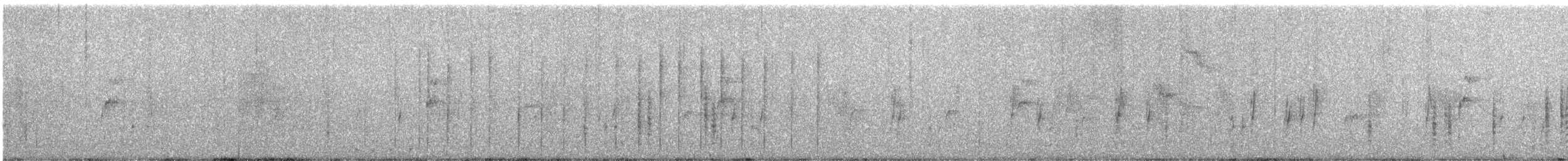 Ticking Doradito - ML640284551