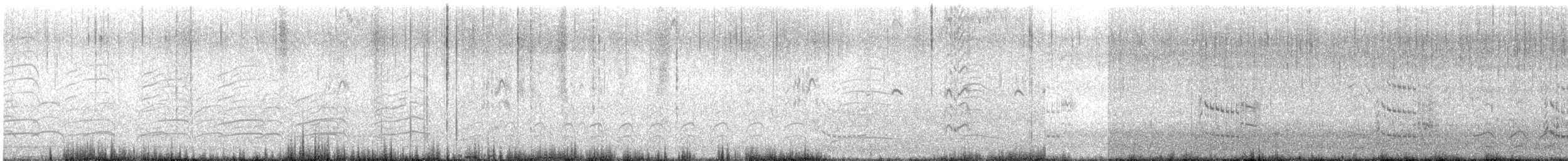 Royal Tern - ML640285480