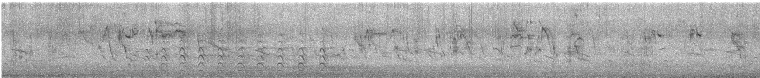 Sturnelle à sourcils blancs - ML640285927