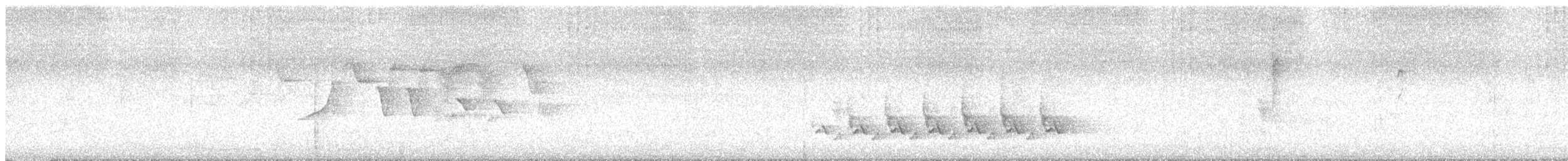 チャバラマユミソサザイ - ML640286108