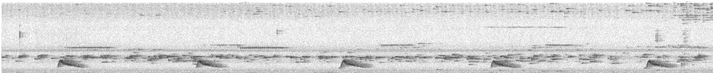 Common Pauraque - ML640287478