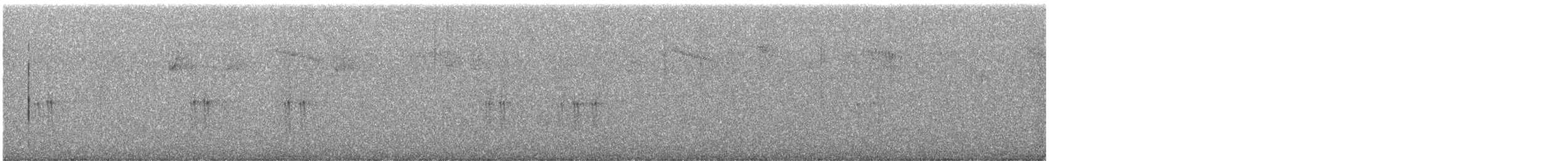 Bindenkreuzschnabel - ML640287664